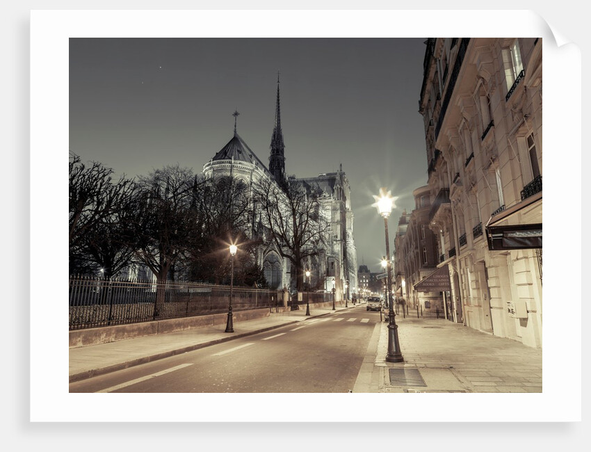 Notre-Dame de Paris, France by Assaf Frank